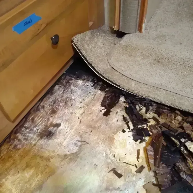 Wood Floor Water Damage in Ovid, MI